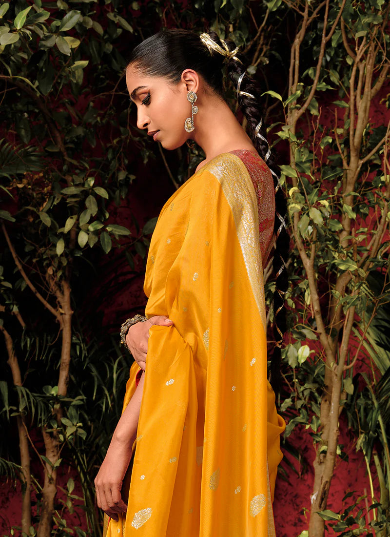 Buy embroidered Saree for weddings and festivals.