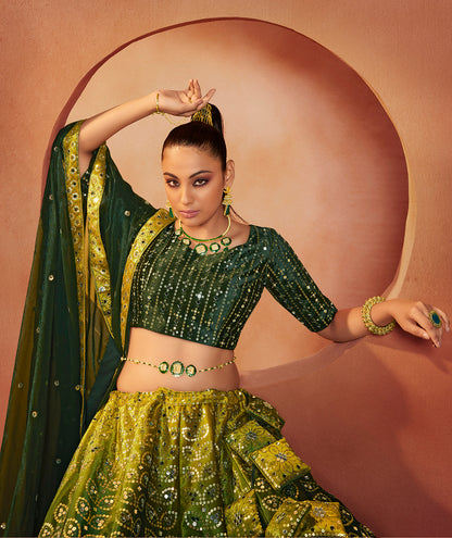 Green Mirror Work Lehenga Choli showcases mirror embroidery on velvet