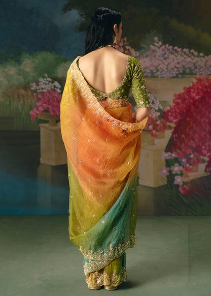 luxury ethnic saree women wedding shopping